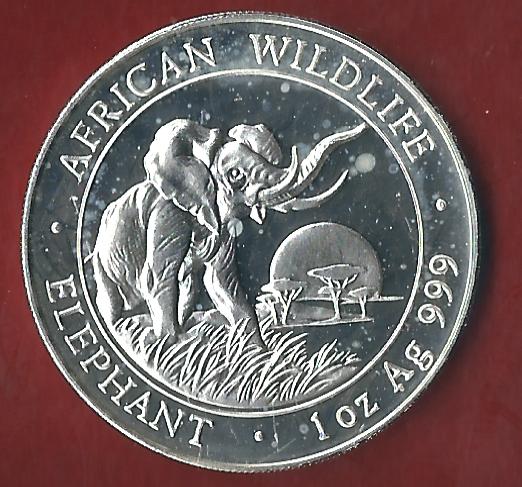  Somalia 1 OZ AG Elephant 2009 m.Kapsel Koblenzer Münzen Studio Koblenz Frank Maurer AH658   