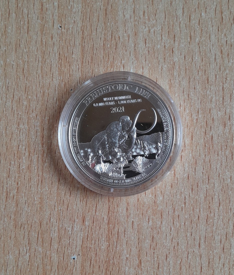  Kongo 20 Francs 2021 Wollmammut 1 Oz. Feinsilber   