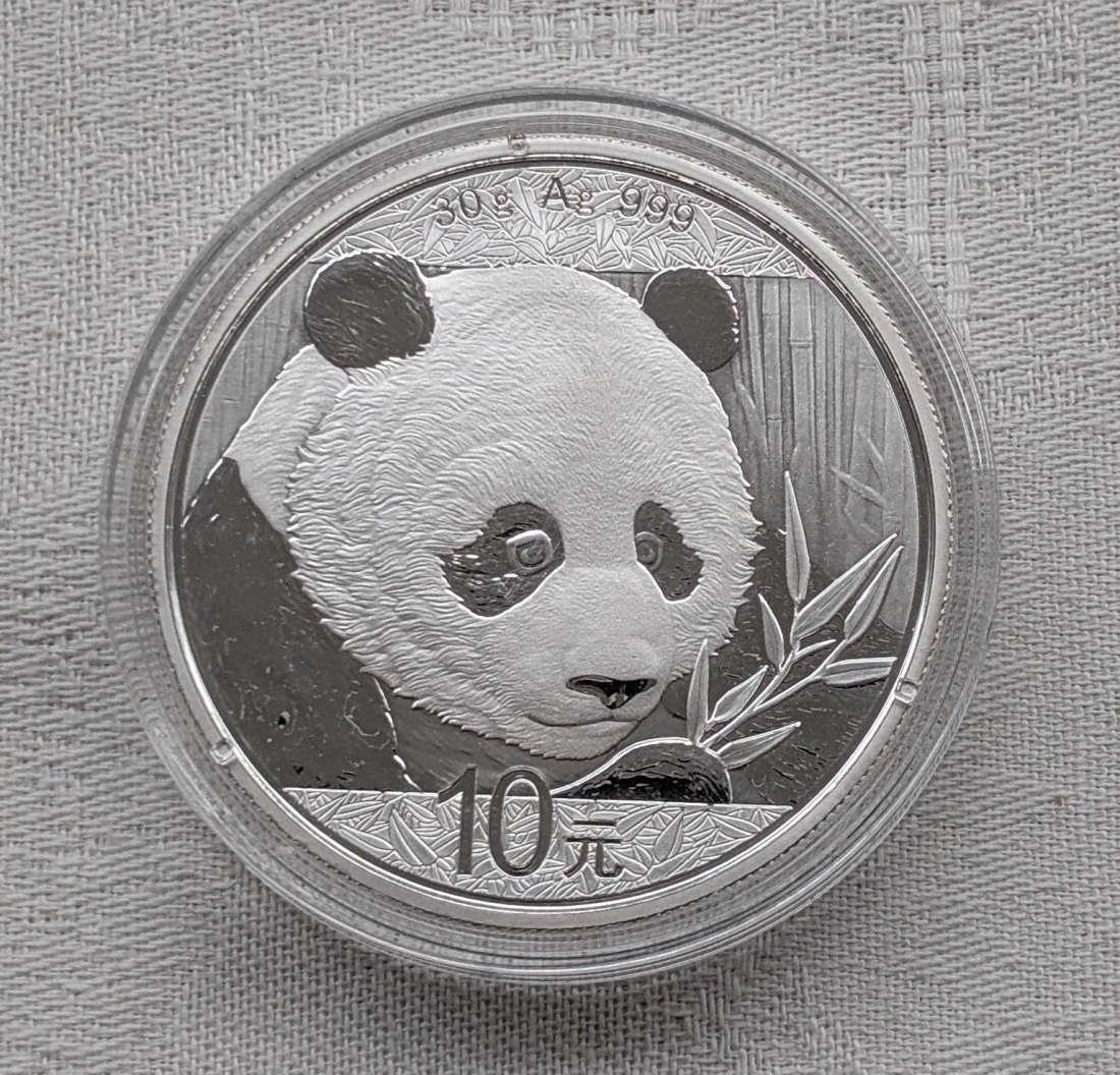  China Panda in Silber 30g Jahrgang 2018   