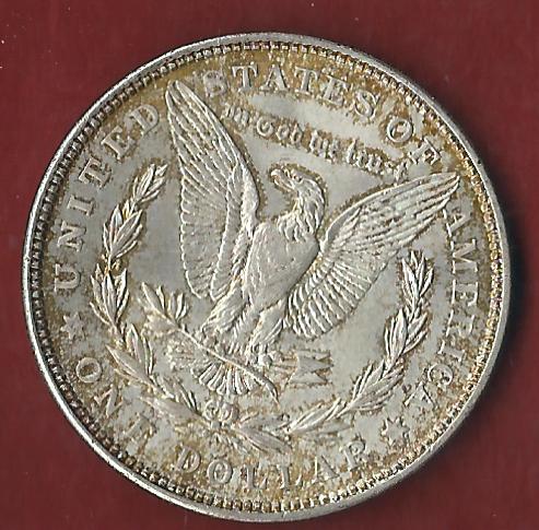  USA Morgan Dollar 1921 Koblenzer Münzen Studio Koblenz Frank Maurer AH816   