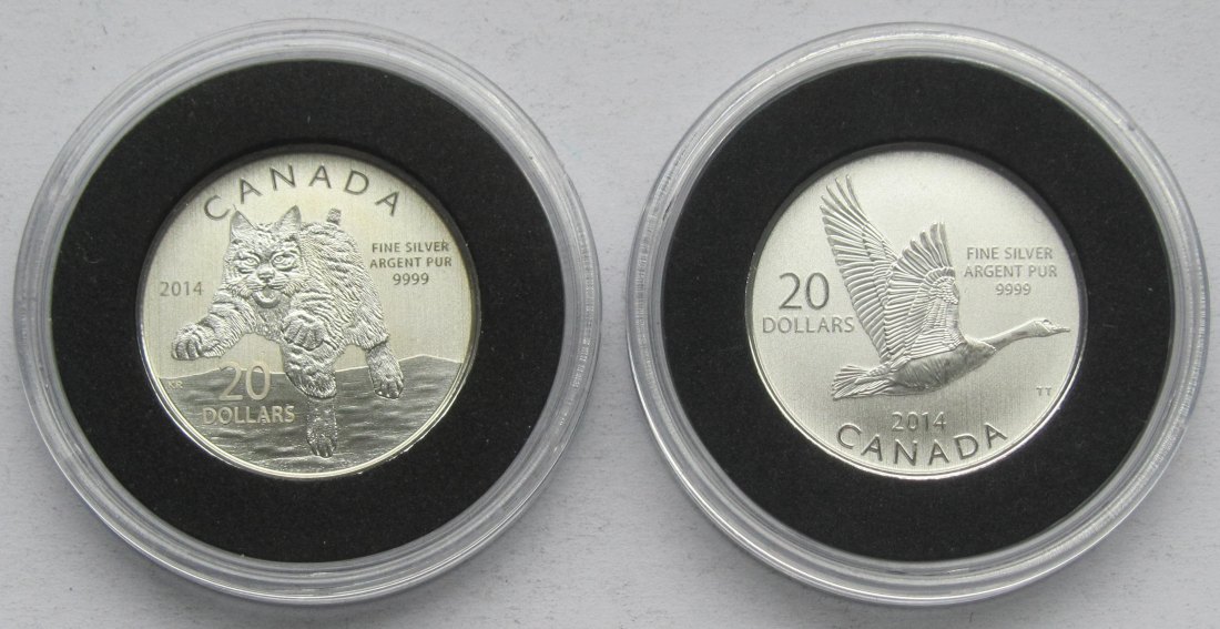  Kanada: 2 x 20 Dollars, zusammen 15,9 g Feinsilber   