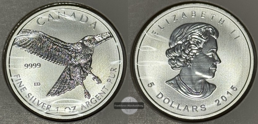  Kanada - 5 Dollar 2015 Elizabeth II Rotschwanzbussard FM-Frankfurt  Feinsilber: 31.39g   