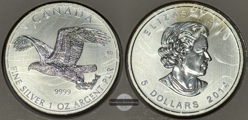  Kanada - 5 Dollar 2014 - Elizabeth II Weißkopfseeadler FM-Frankfurt  Feinsilber: 31.39g   