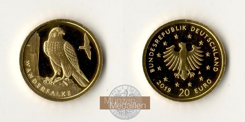 BRD  20 Euro MM-Frankfurt Feingold: 3,88g Heimische Vögel - Wanderfalke 2019 A 