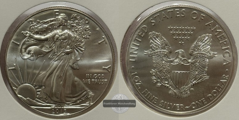  USA - 1 Dollar  2013  American Eagle  FM-Frankfurt Feinsilber: 31,1g   