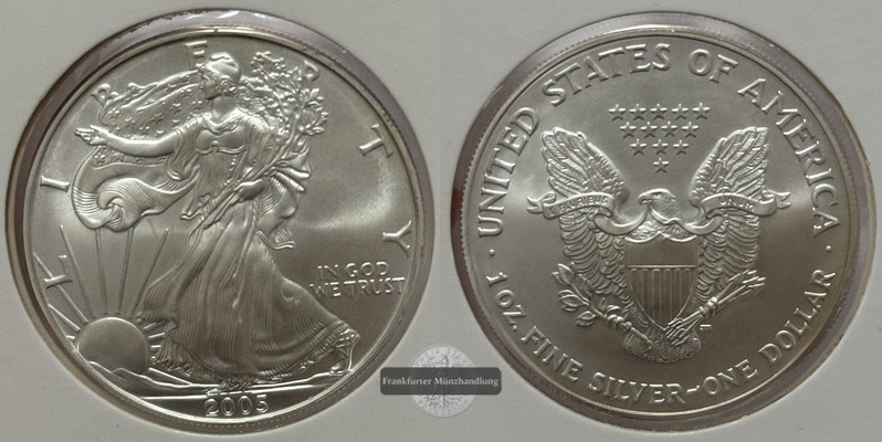  USA - 1 Dollar  2005  American Eagle  FM-Frankfurt Feinsilber: 31,1g   