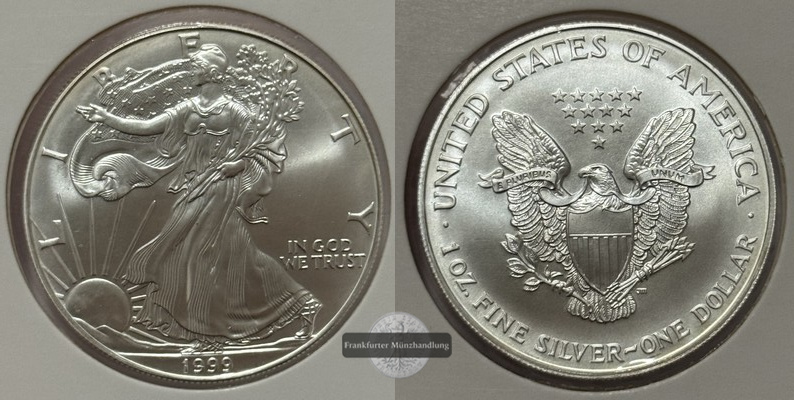  USA - 1 Dollar  1999  American Eagle  FM-Frankfurt Feinsilber: 31,1g   