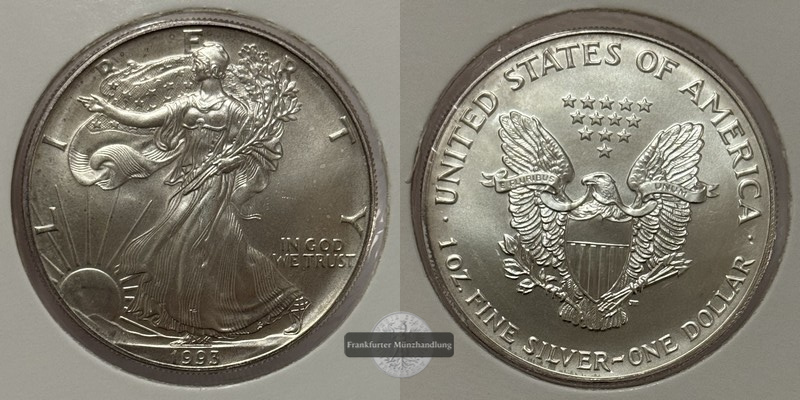  USA - 1 Dollar  1993  American Eagle  FM-Frankfurt Feinsilber: 31,1g   