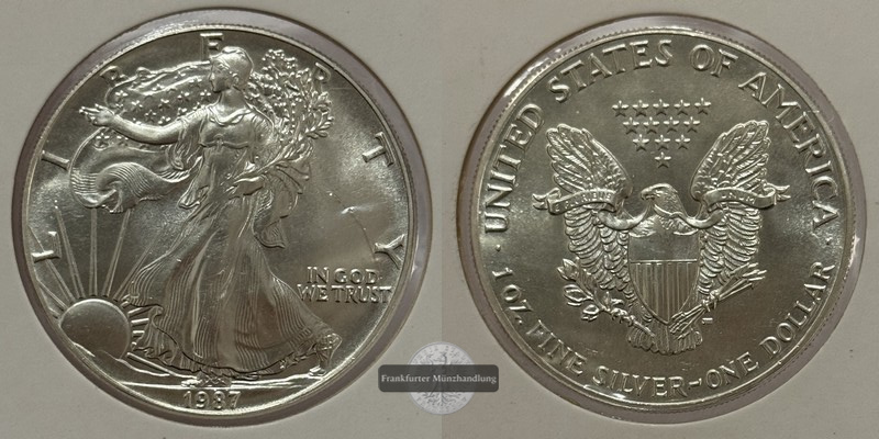  USA - 1 Dollar  1987 American Eagle  FM-Frankfurt Feinsilber: 31,1g   