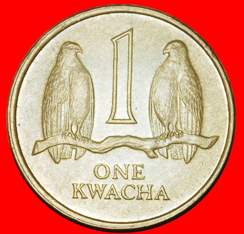  Ⰶ CANADA: ZAMBIA ★ 1 KWACHA 1992 FALCONS and HORSE! ★LOW START ★ NO RESERVE!   