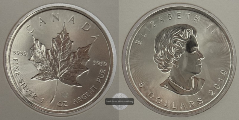  Kanada - 5 Dollar  2019  Maple Leaf   FM-Frankfurt    Feinsilber: 31g   