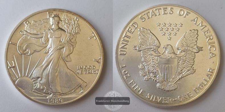  USA 1 Dollar 1989 Walking Liberty  FM-Frankfurt KM#273 Feinsilber: 31g   