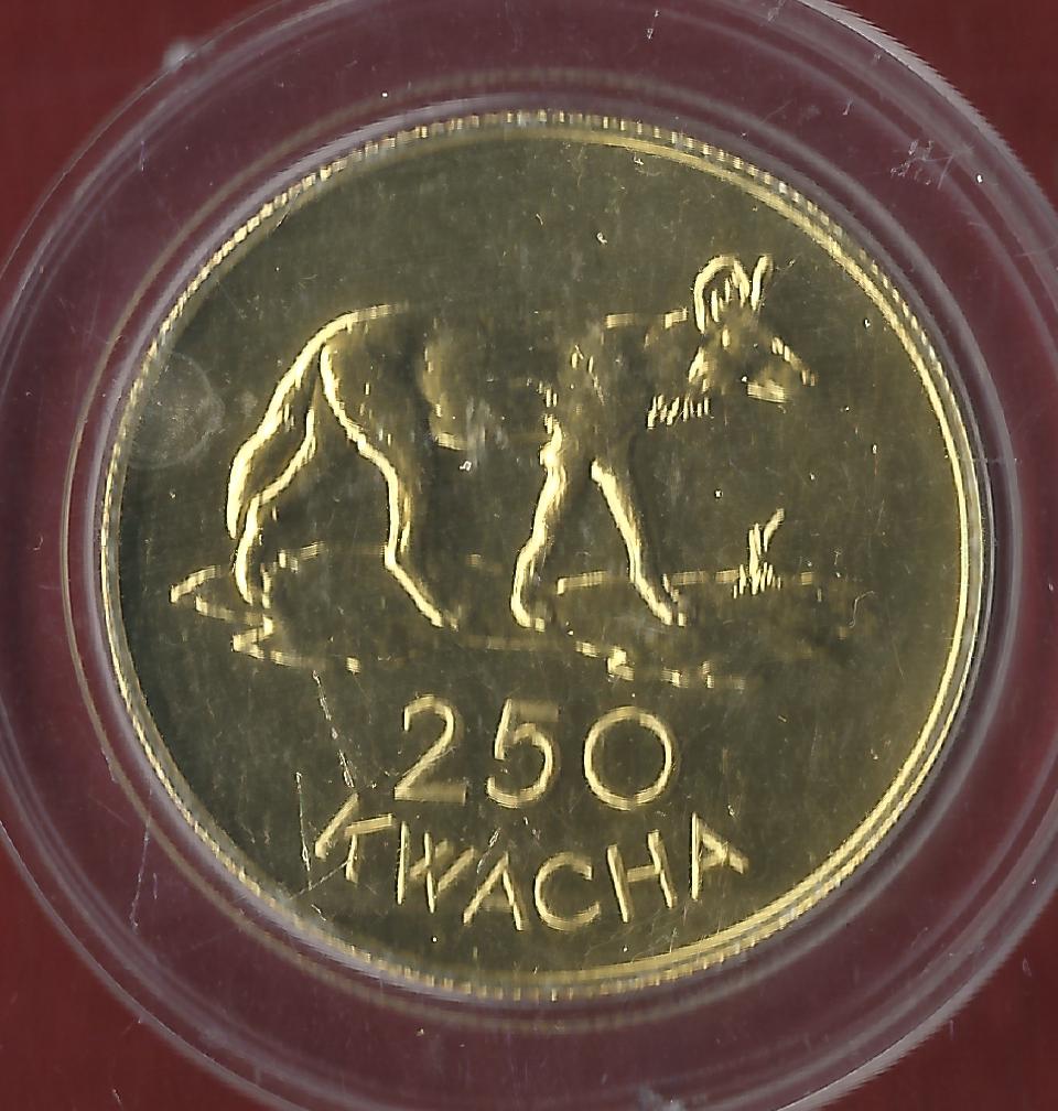 Zambia 250 Kwacha 1979 488 Stück RR Münzenankauf Koblenz Frank Maurer AJ910   